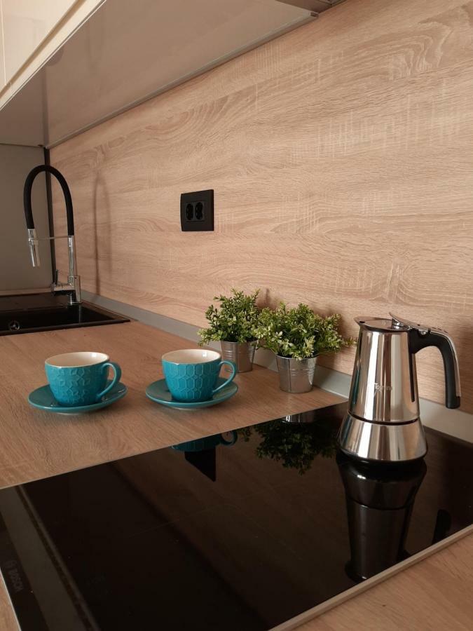 Apartment Regina Dubrovnik - Free Parking מראה חיצוני תמונה